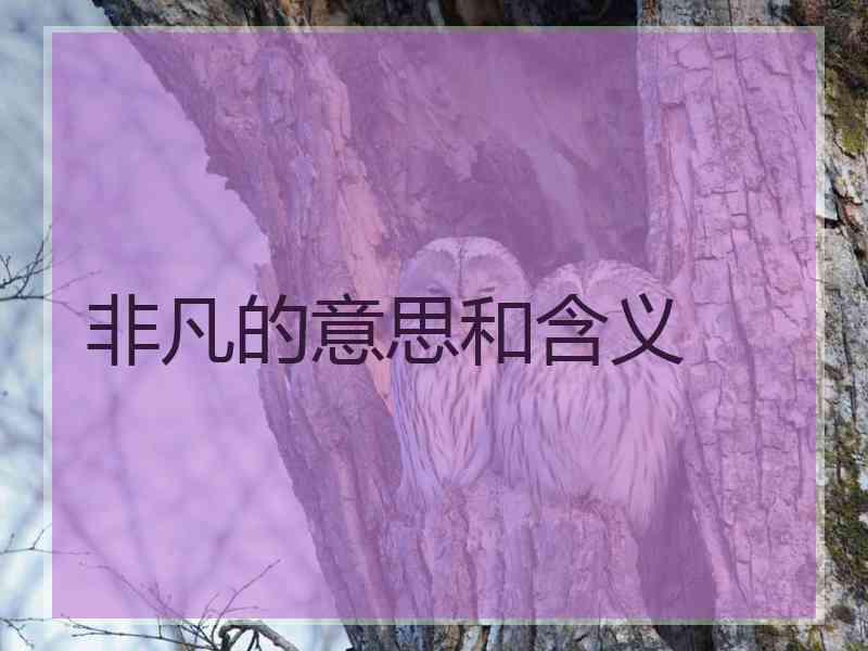 非凡的意思和含义