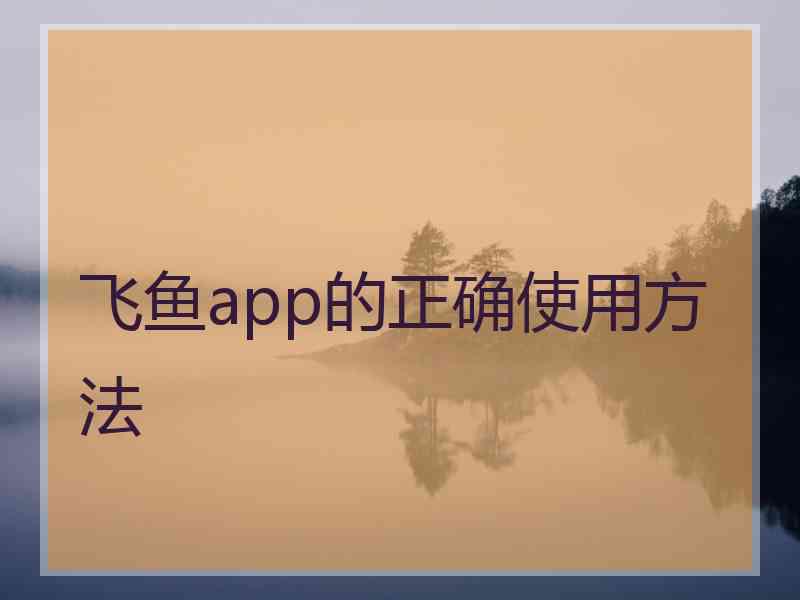 飞鱼app的正确使用方法