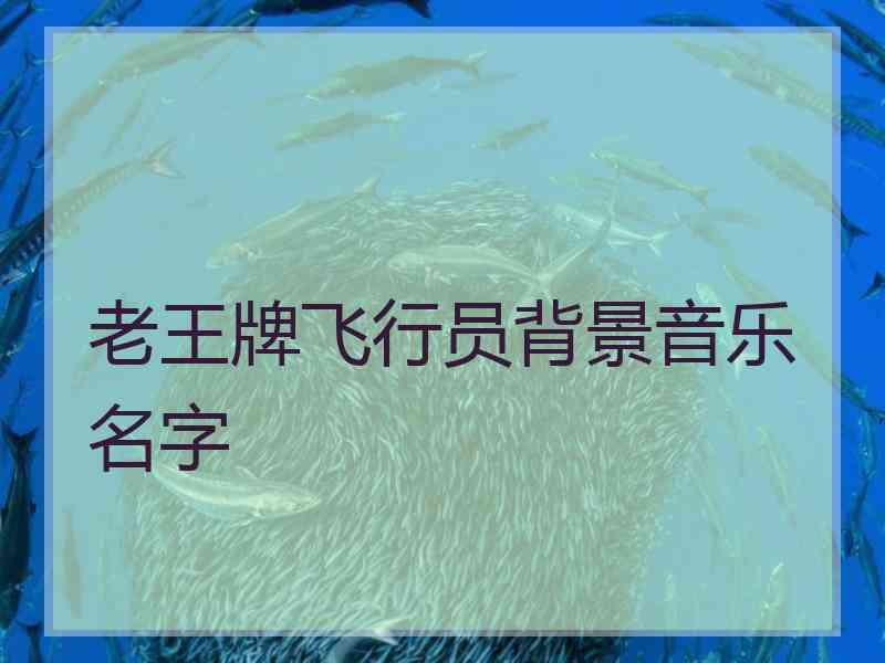 老王牌飞行员背景音乐名字