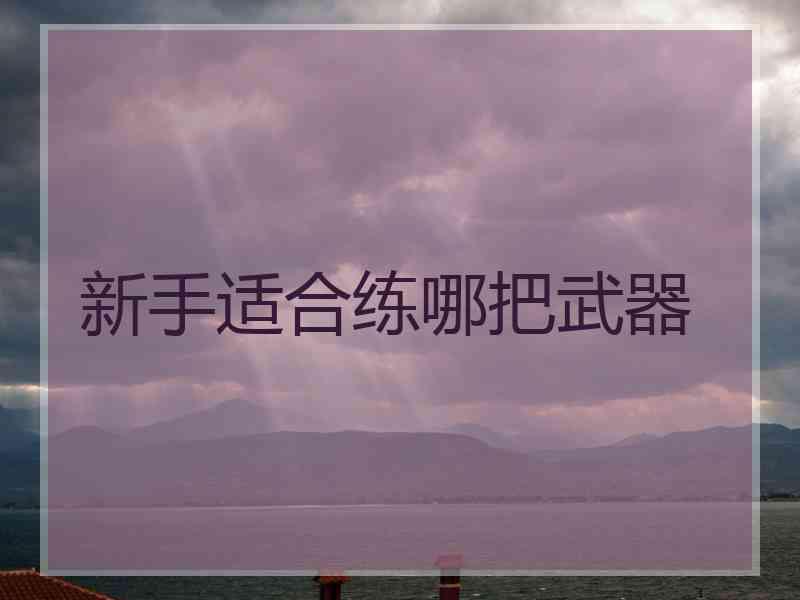 新手适合练哪把武器