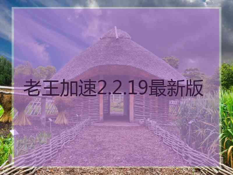 老王加速2.2.19最新版