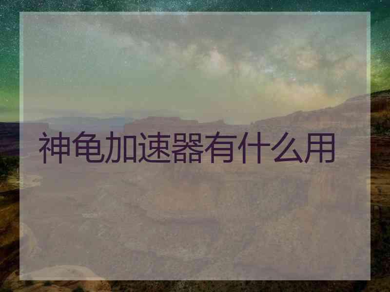 神龟加速器有什么用