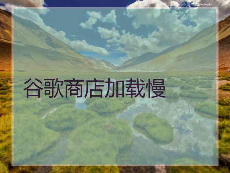 谷歌商店加载慢