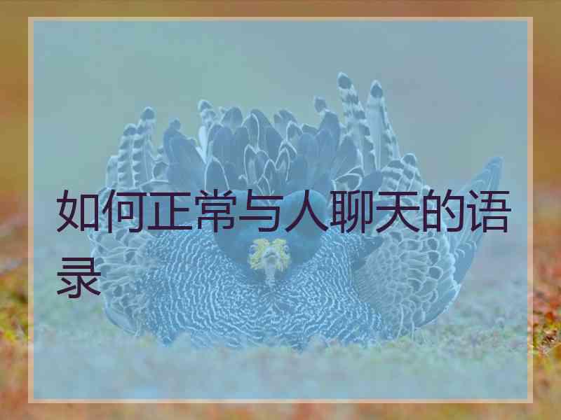 如何正常与人聊天的语录