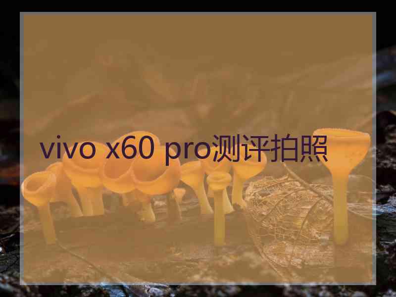vivo x60 pro测评拍照