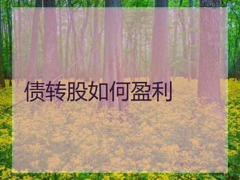 债转股如何盈利