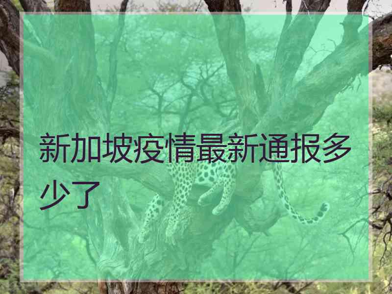 新加坡疫情最新通报多少了