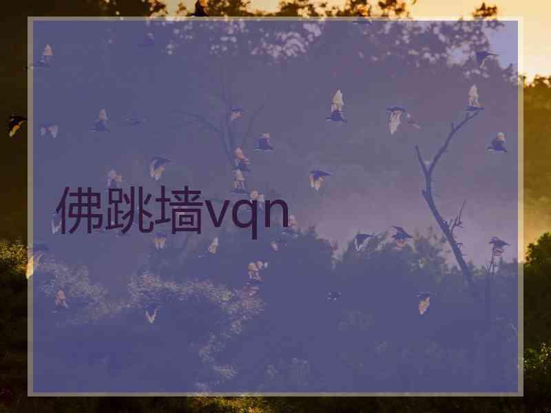 佛跳墙vqn