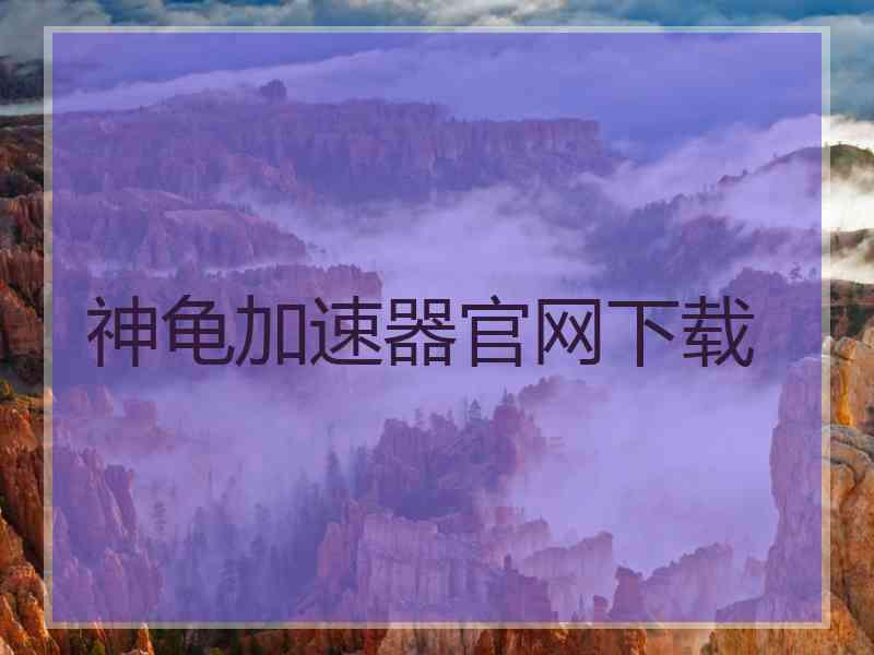 神龟加速器官网下载