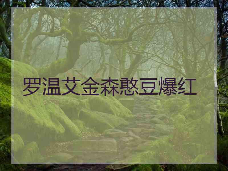 罗温艾金森憨豆爆红