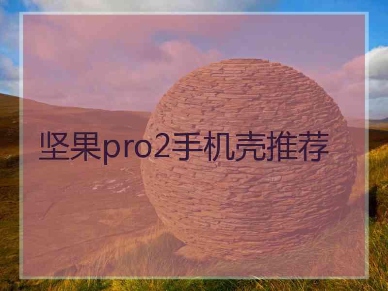坚果pro2手机壳推荐