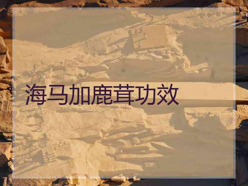 海马加鹿茸功效