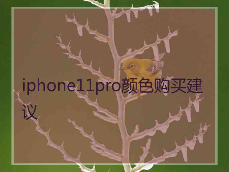 iphone11pro颜色购买建议