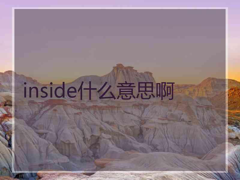 inside什么意思啊