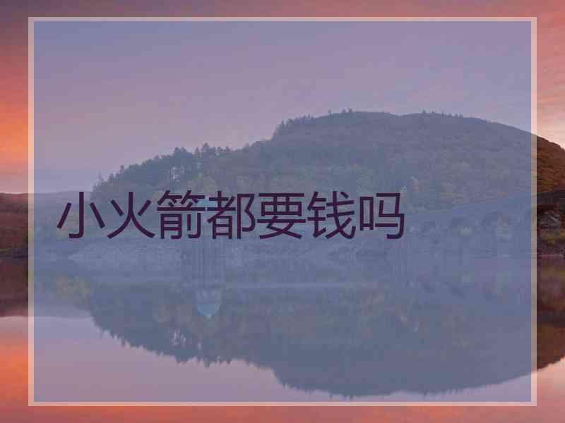 小火箭都要钱吗