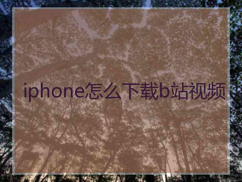 iphone怎么下载b站视频