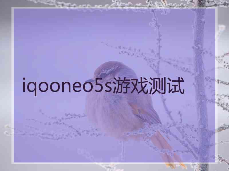 iqooneo5s游戏测试