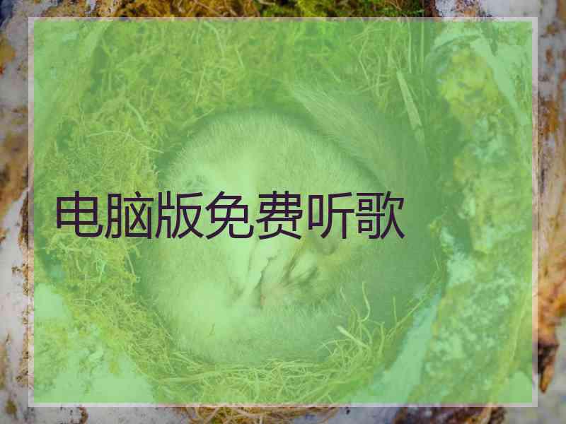 电脑版免费听歌