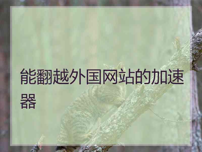 能翻越外国网站的加速器