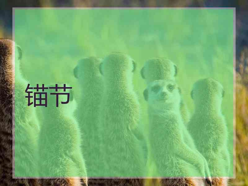 锚节