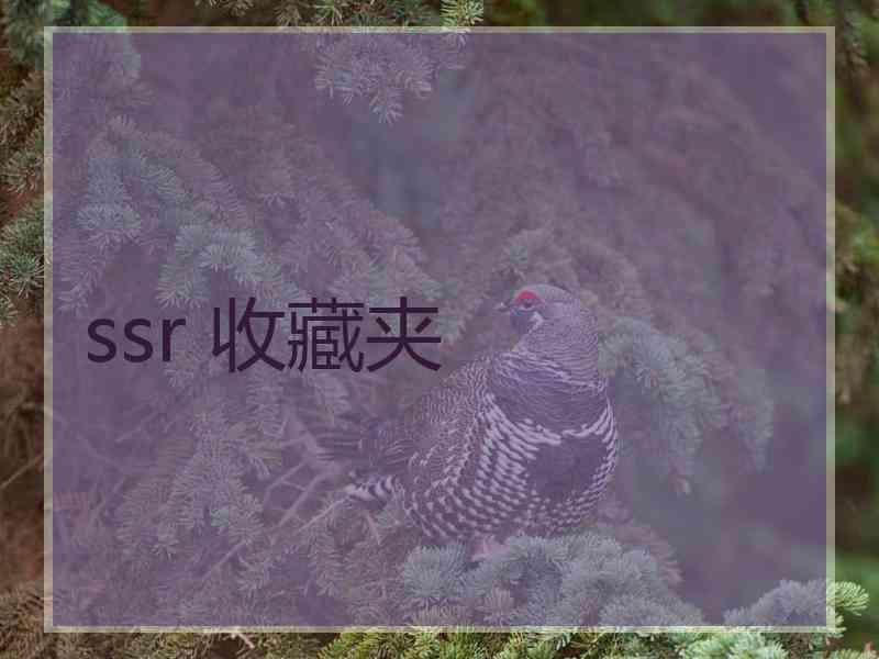 ssr 收藏夹