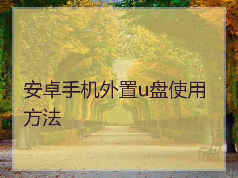 安卓手机外置u盘使用方法