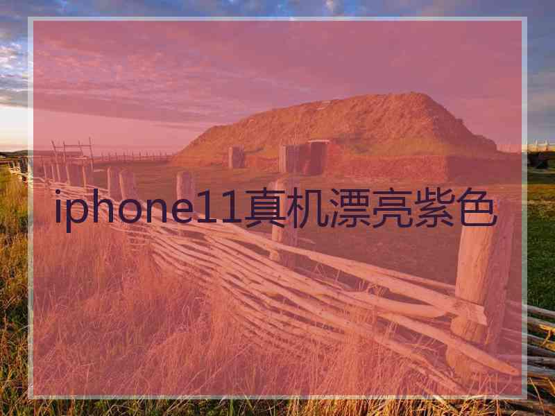 iphone11真机漂亮紫色