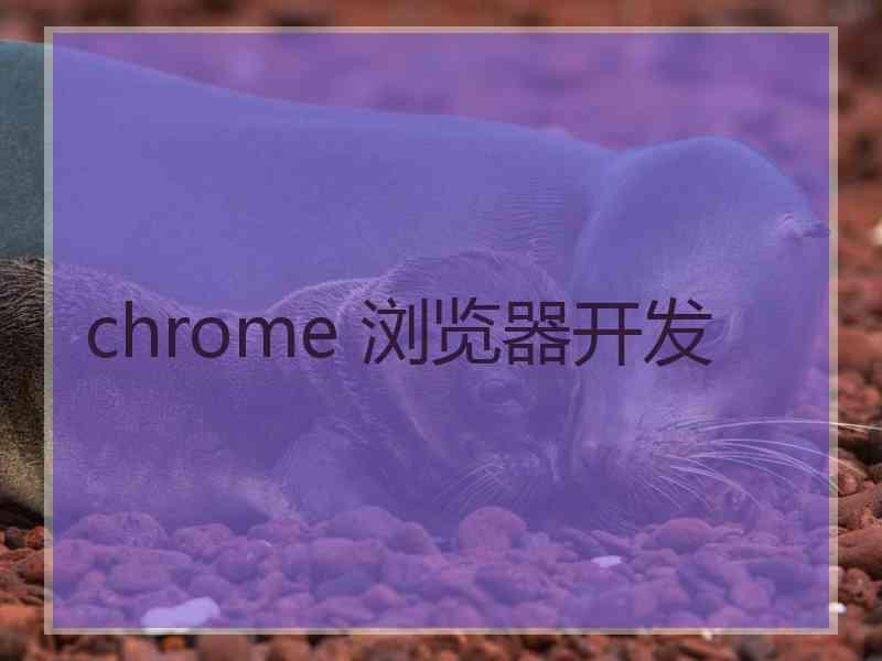 chrome 浏览器开发