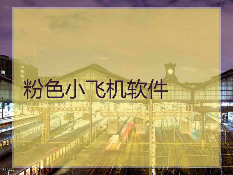 粉色小飞机软件