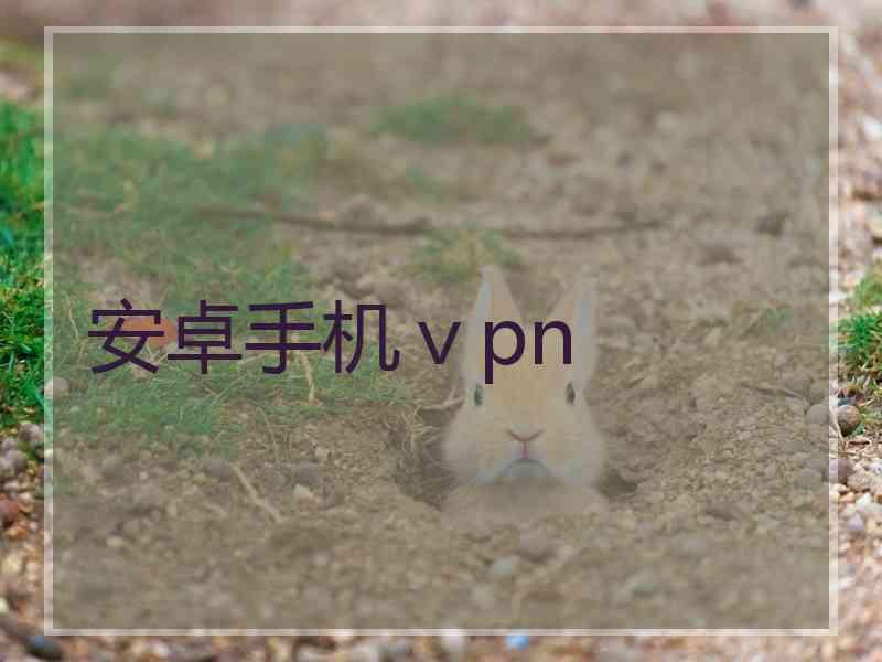 安卓手机ⅴpn