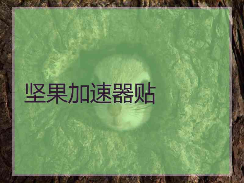 坚果加速器贴