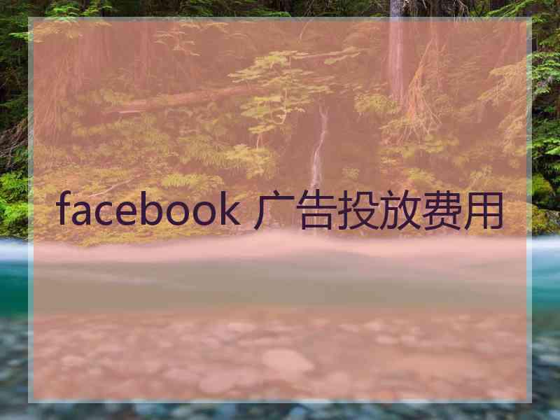 facebook 广告投放费用