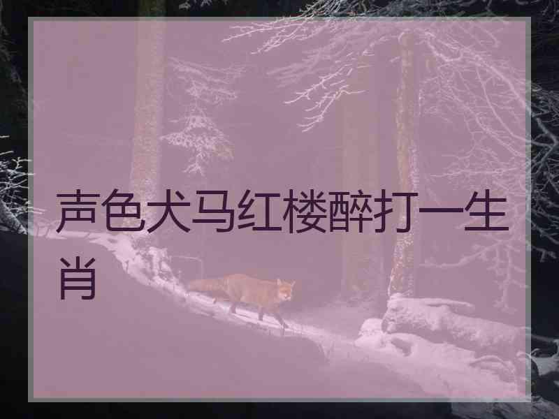 声色犬马红楼醉打一生肖