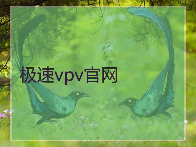 极速vpv官网