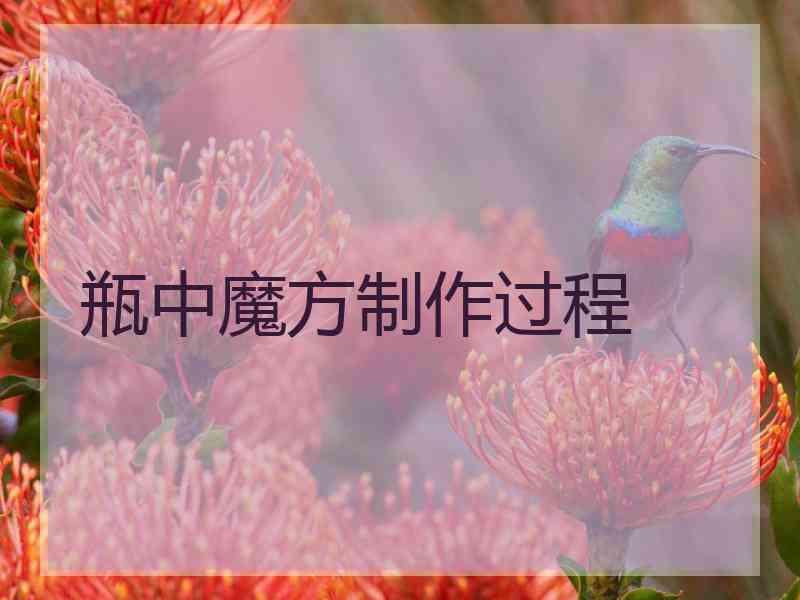 瓶中魔方制作过程