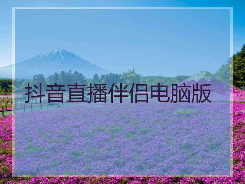 抖音直播伴侣电脑版