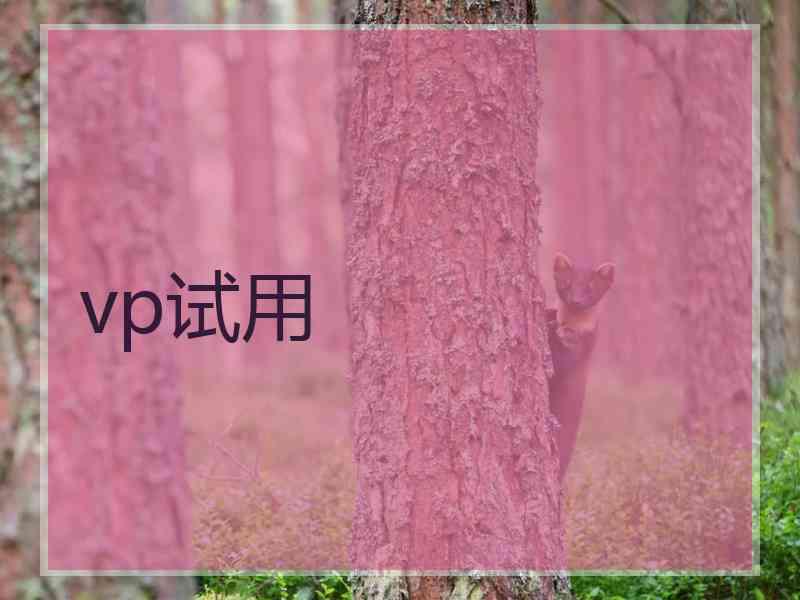 vp试用
