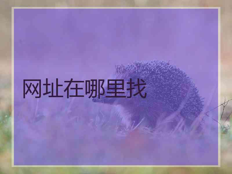 网址在哪里找