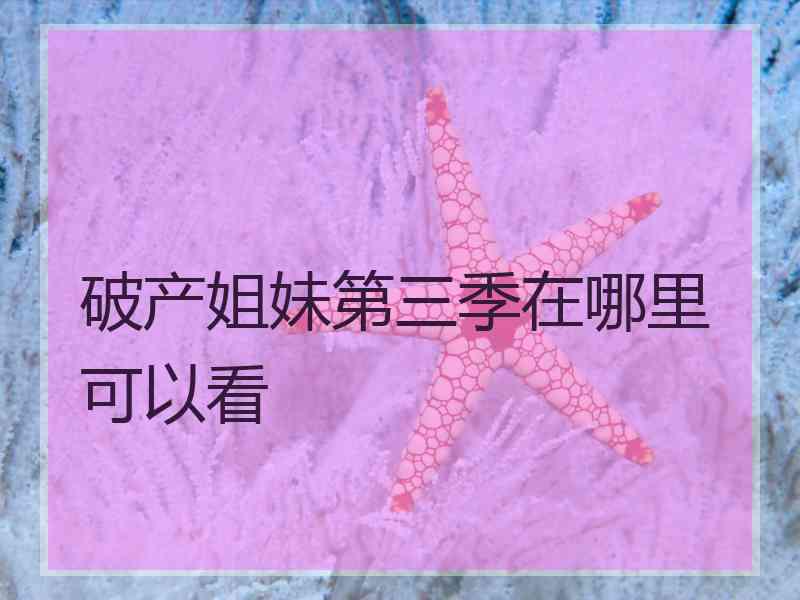 破产姐妹第三季在哪里可以看