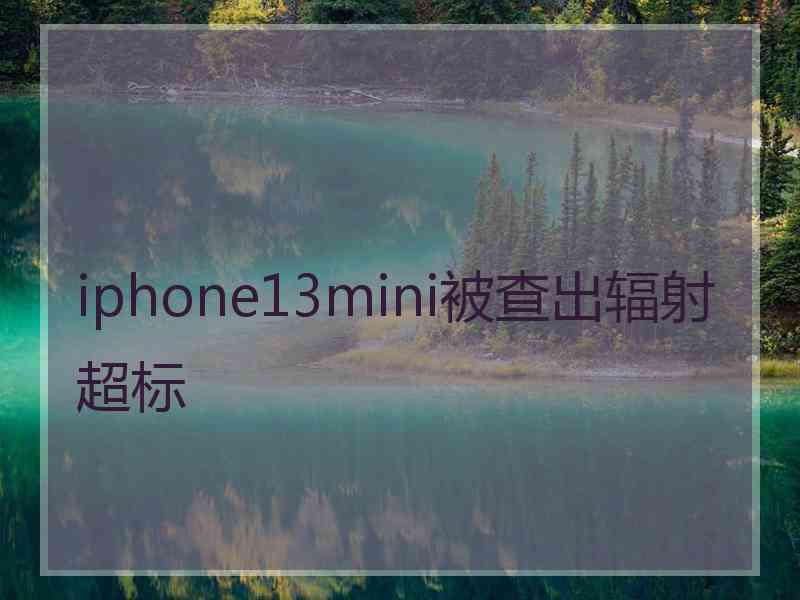 iphone13mini被查出辐射超标
