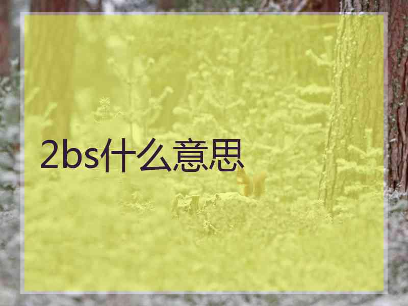 2bs什么意思