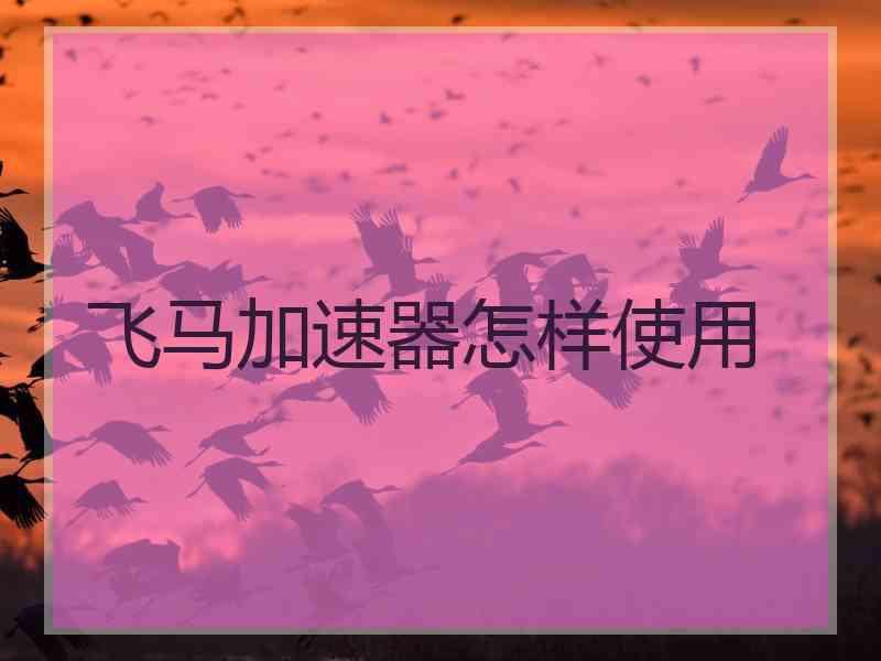 飞马加速器怎样使用