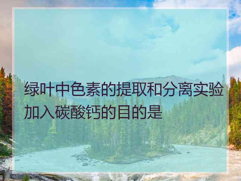 绿叶中色素的提取和分离实验加入碳酸钙的目的是