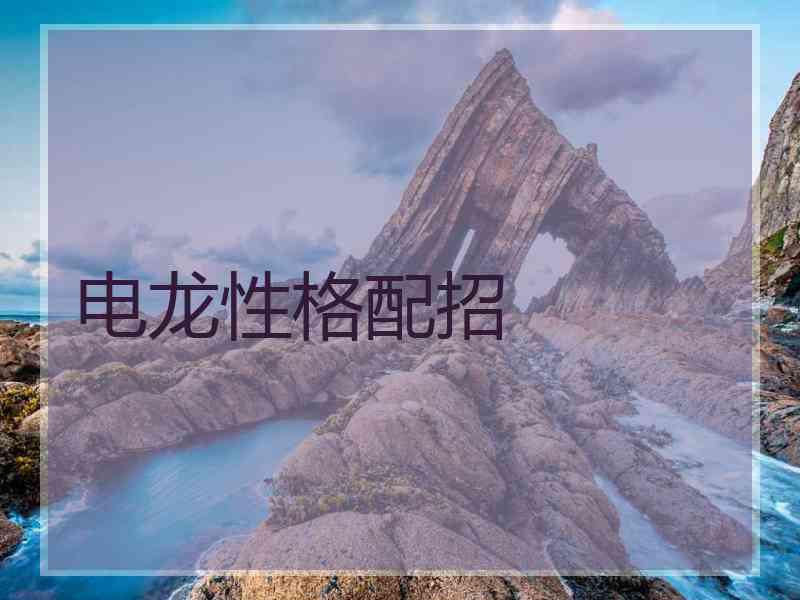 电龙性格配招