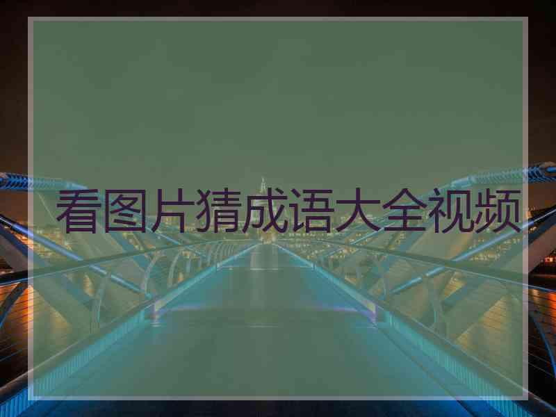 看图片猜成语大全视频