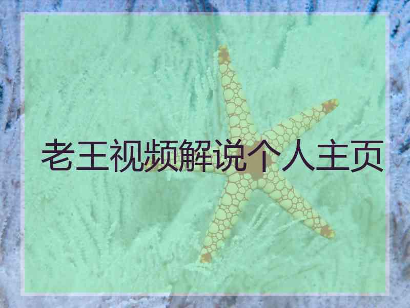 老王视频解说个人主页