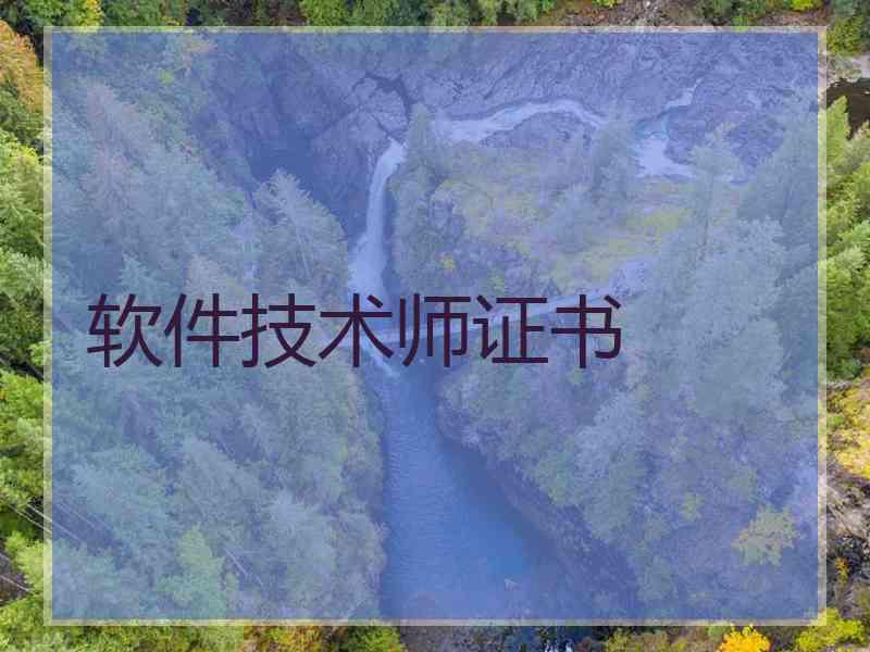 软件技术师证书