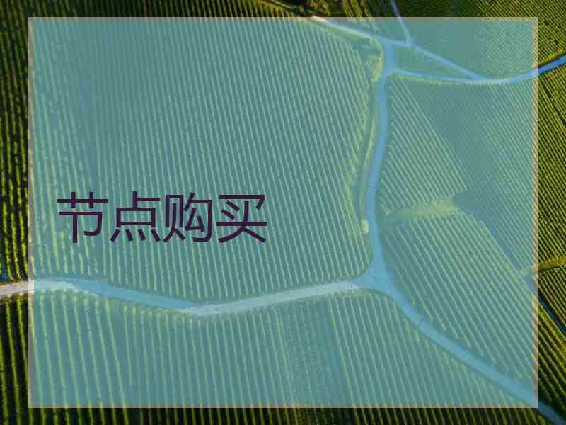 节点购买