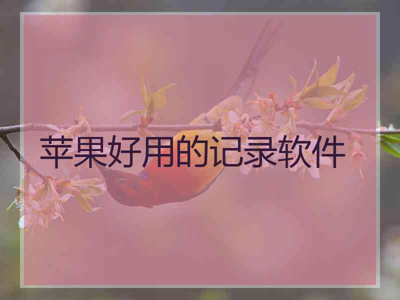 苹果好用的记录软件