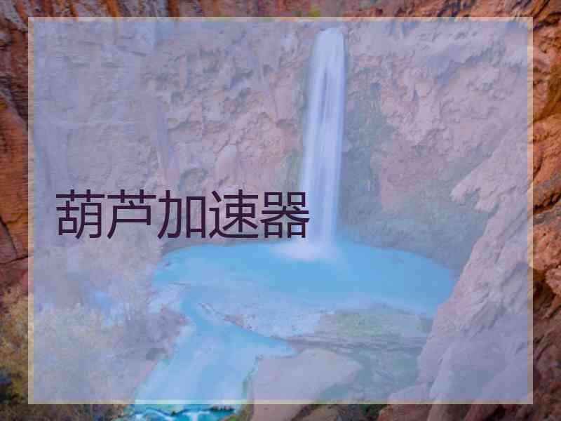 葫芦加速器